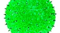 50 Light 6" Minisphere - Green